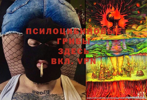 a pvp Медногорск