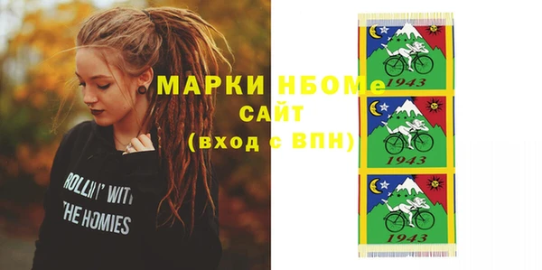 шишки Великий Новгород